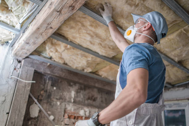 Best Geographic-Specific Insulation Services in Harlan, IN