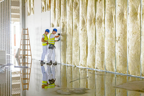 Types of Insulation We Offer in Harlan, IN